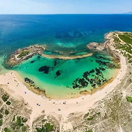 Lupo Di Mare *