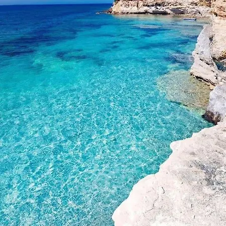 Lupo Di Mare Cuglieri